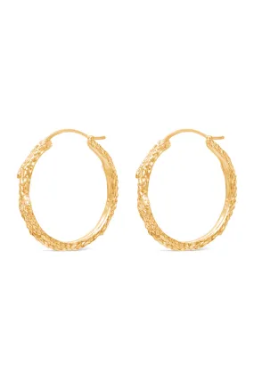 Hoops ~ Cedar Sprig Large in Gold