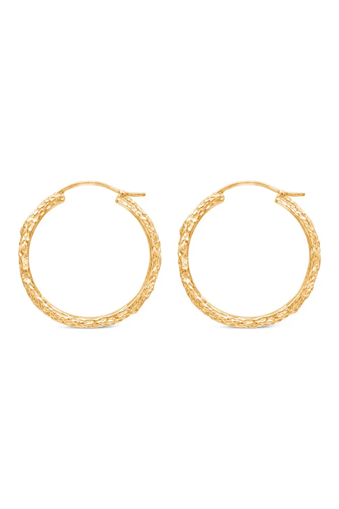 Hoops ~ Cedar Sprig Large in Gold