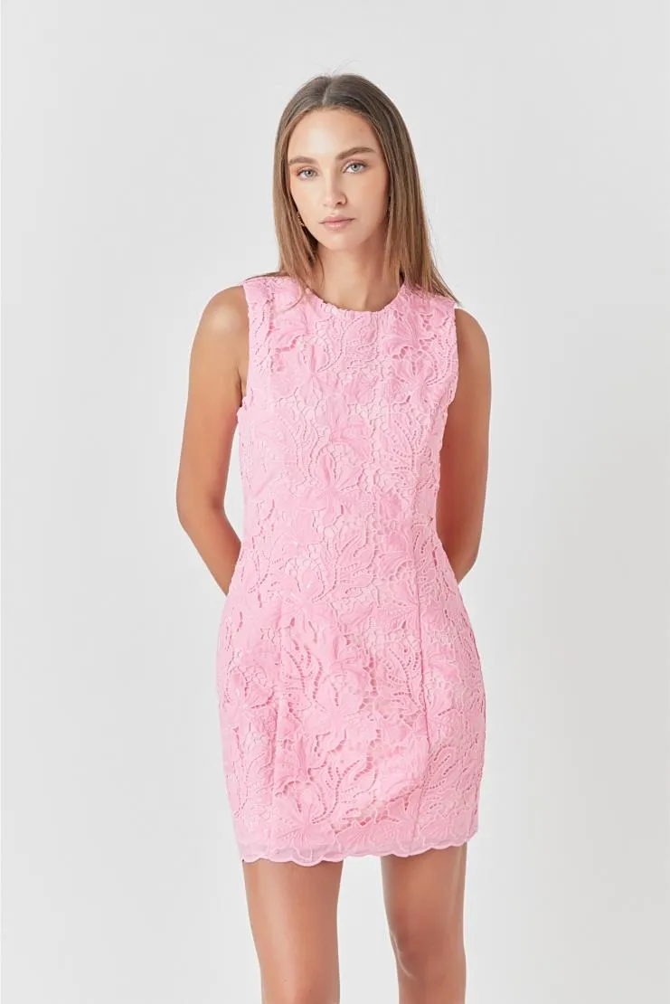 Isabelle Lace Shift Dress - Pink