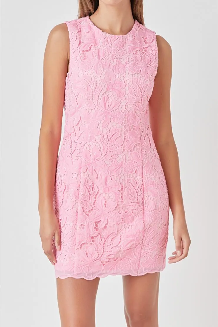 Isabelle Lace Shift Dress - Pink