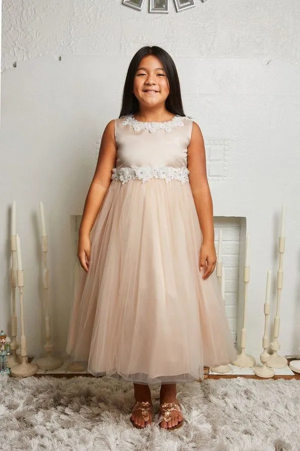 Luxurious Princess Ballgown Dress with Floral Trim and Plus Sizes